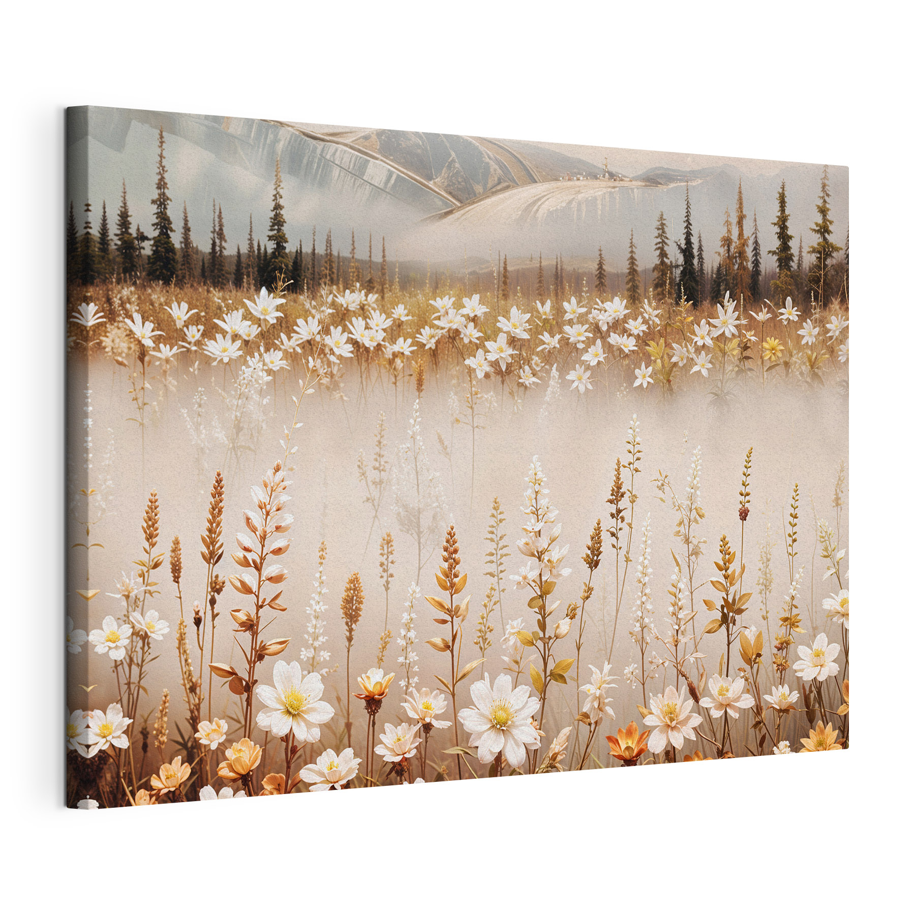 Field of flowers with mountains in the background Field of flowers with mountains in the background