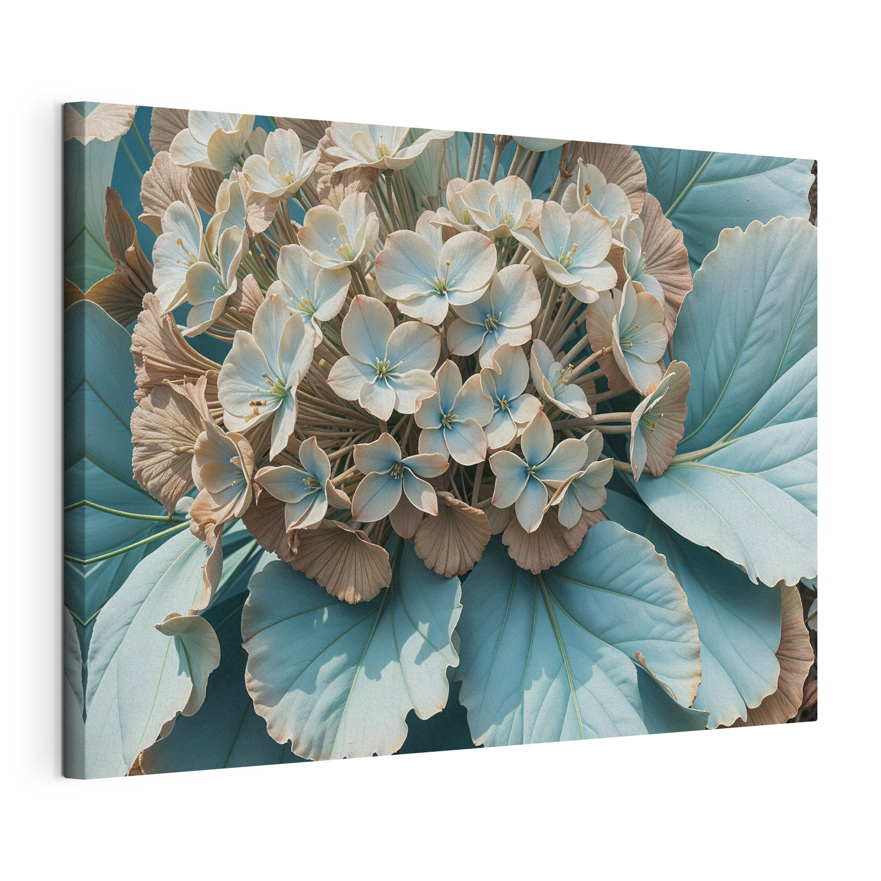 Delicate blooms amidst lush foliage Delicate blooms amidst lush foliage
