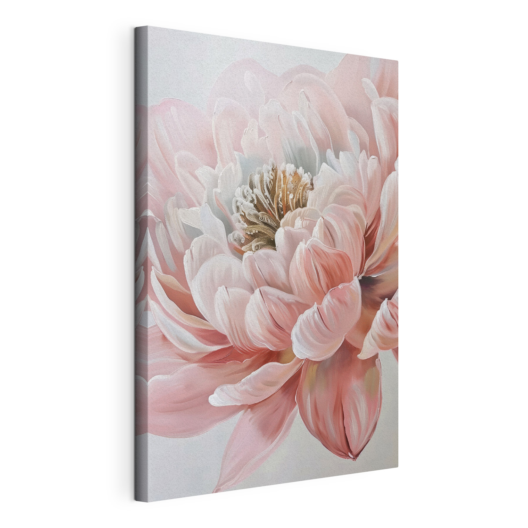 Soft pink petals in gentle bloom Soft pink petals in gentle bloom
