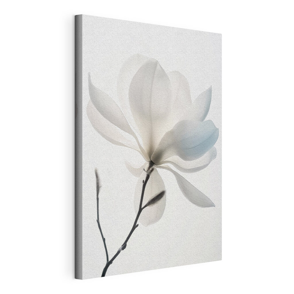 White flower with leaves