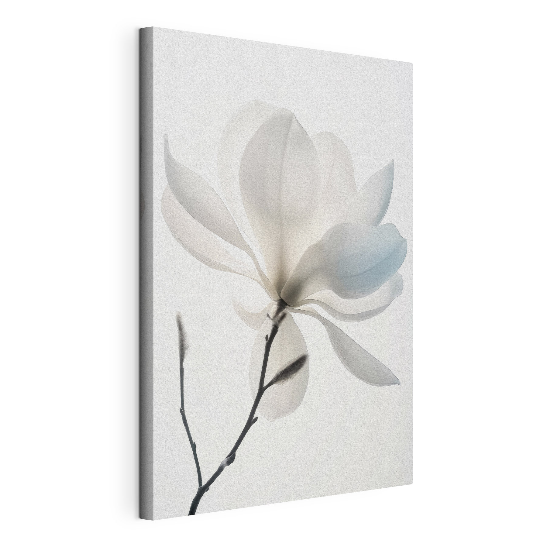 White flower with leaves