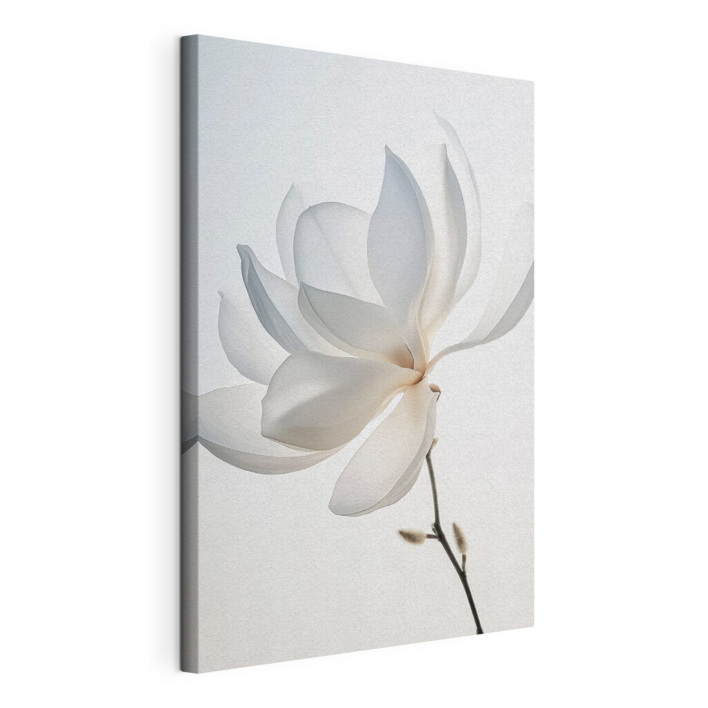 White flower with petals White flower with petals