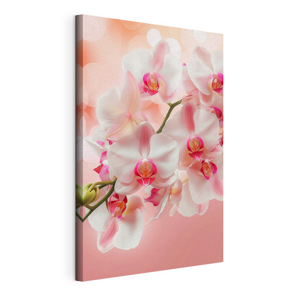 Delicate orchids blooming with elegance Delicate orchids blooming with elegance