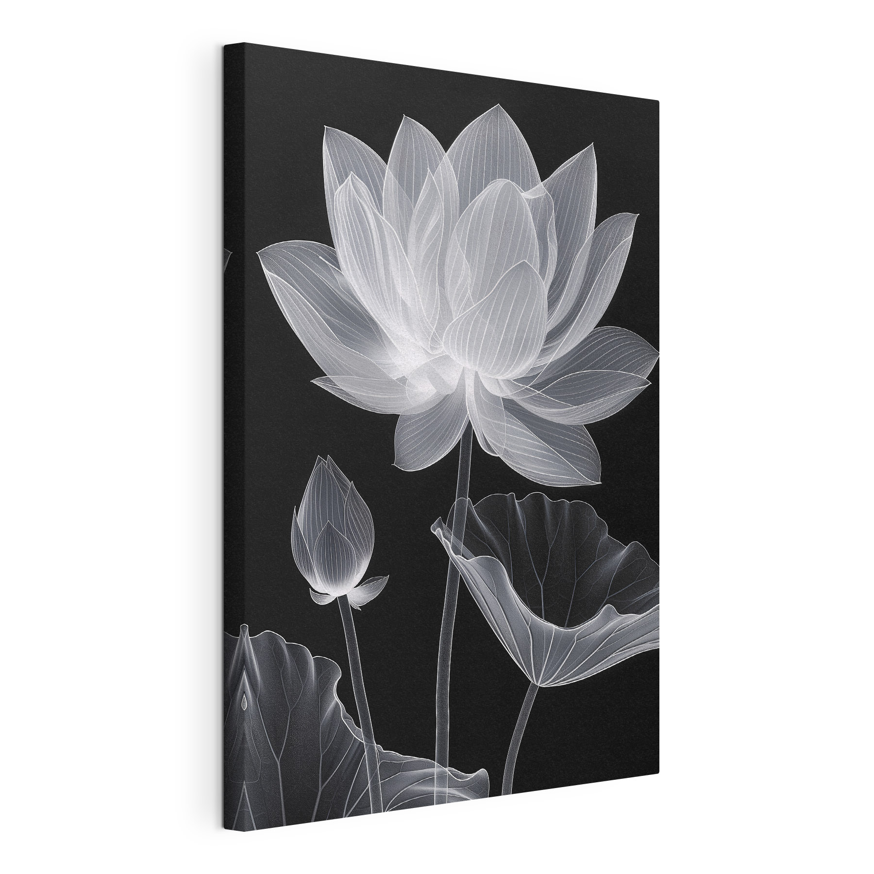 Flower with leaves and a flower bud Flower with leaves and a flower bud