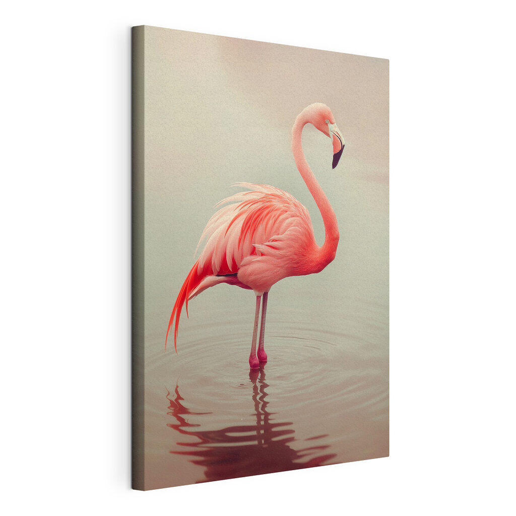 Flamingo standing in water