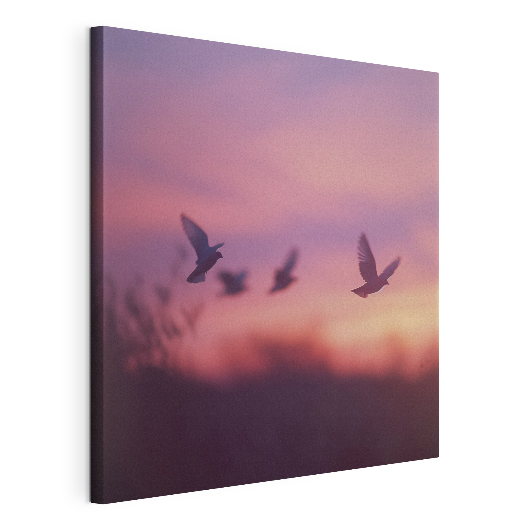 Group of birds flying in the sky Group of birds flying in the sky