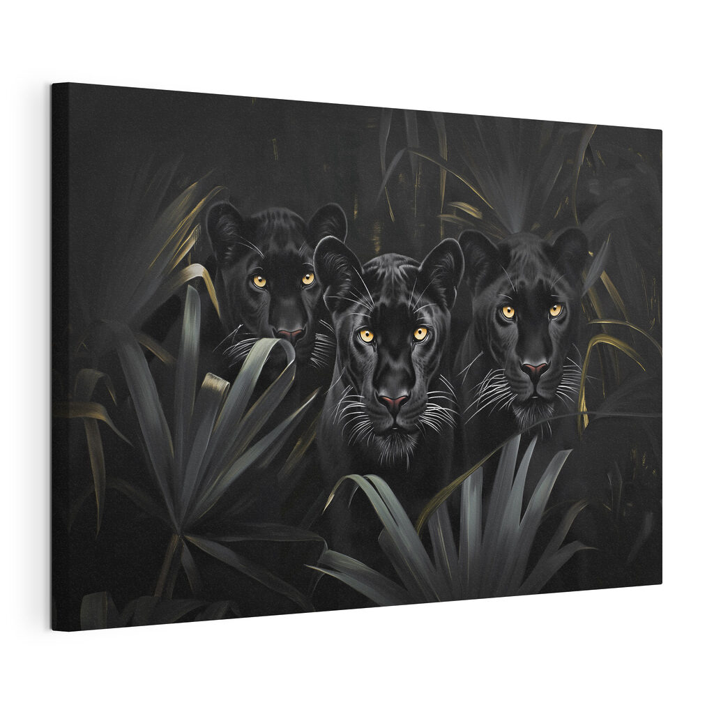 Group of black tigers in the jungle