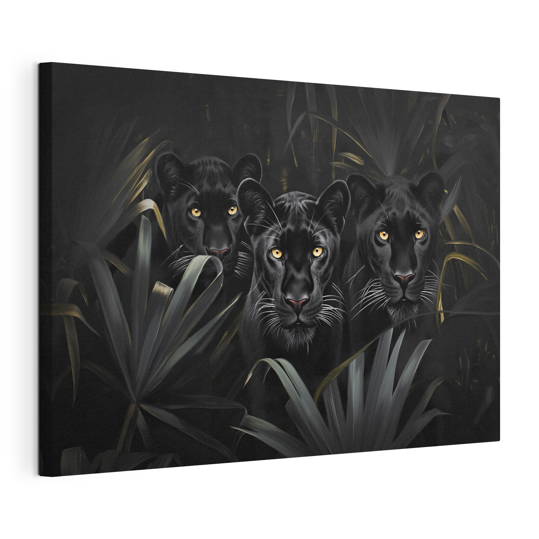 Group of black tigers in the jungle