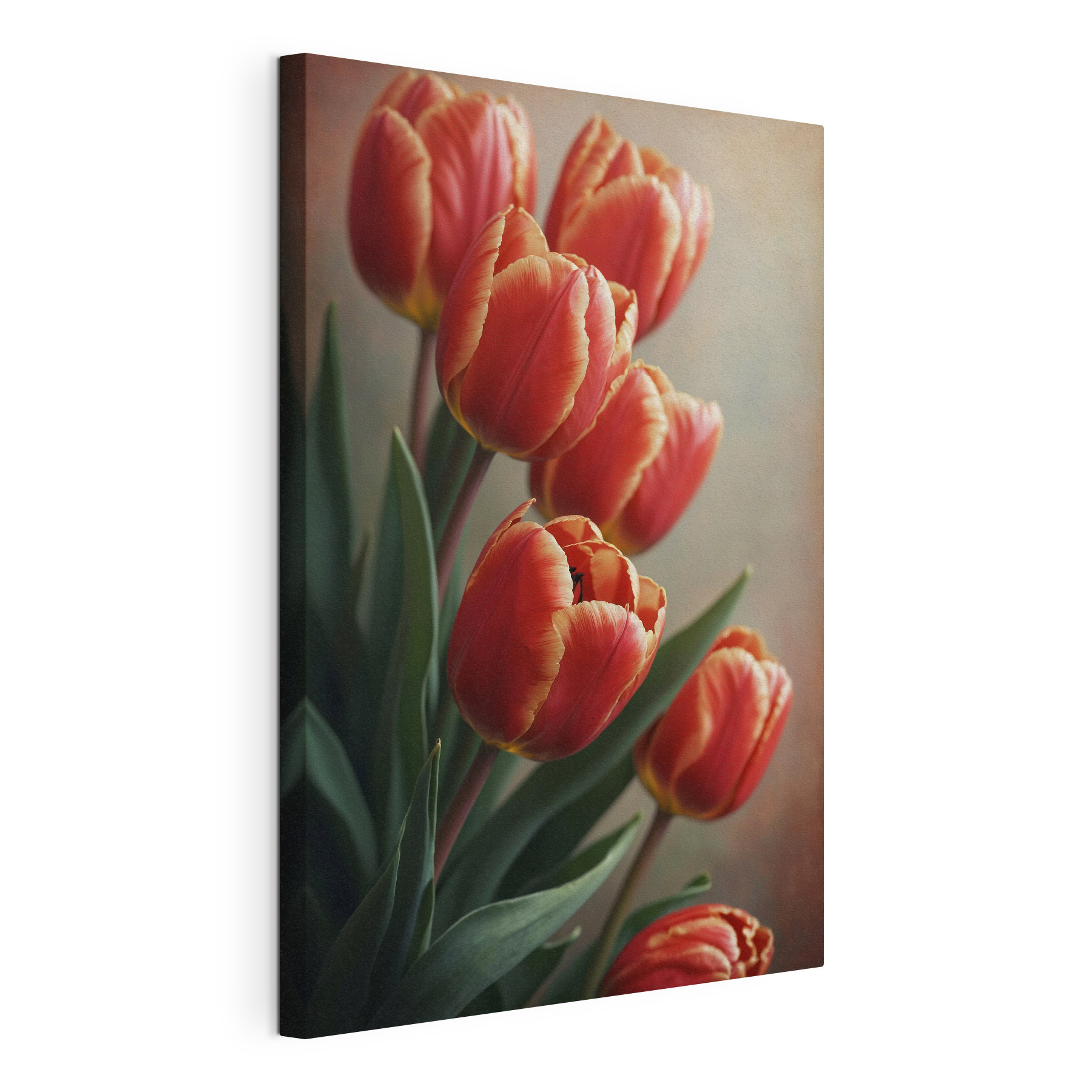 Group of red tulips