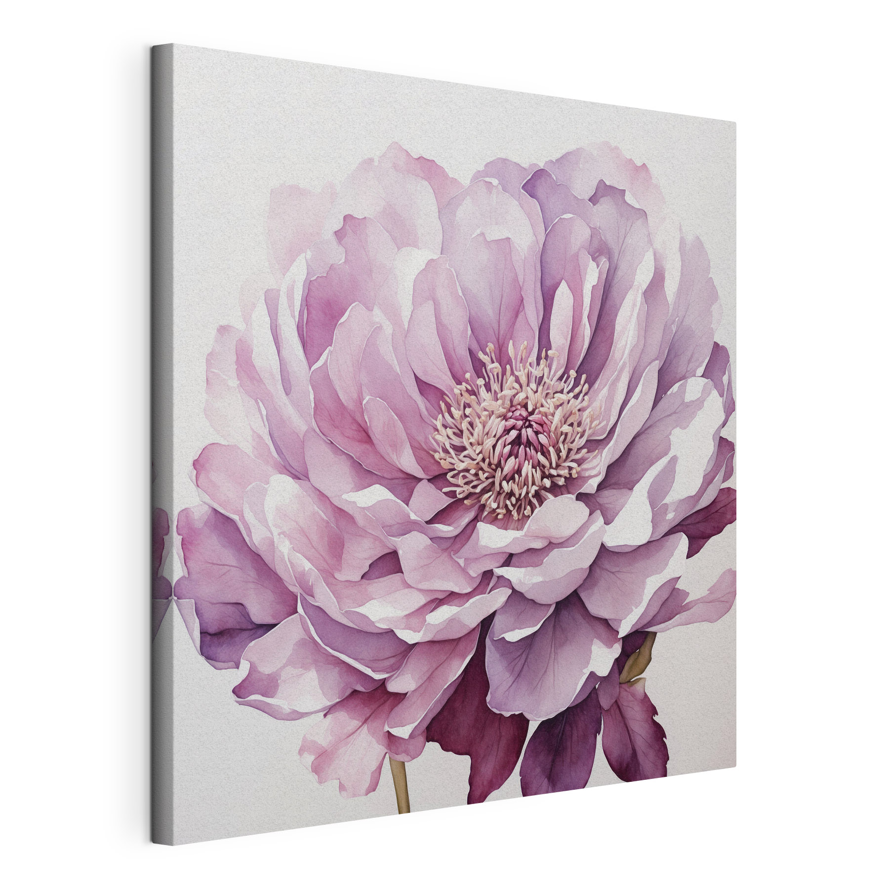 Delicate bloom in soft pastel hues Delicate bloom in soft pastel hues