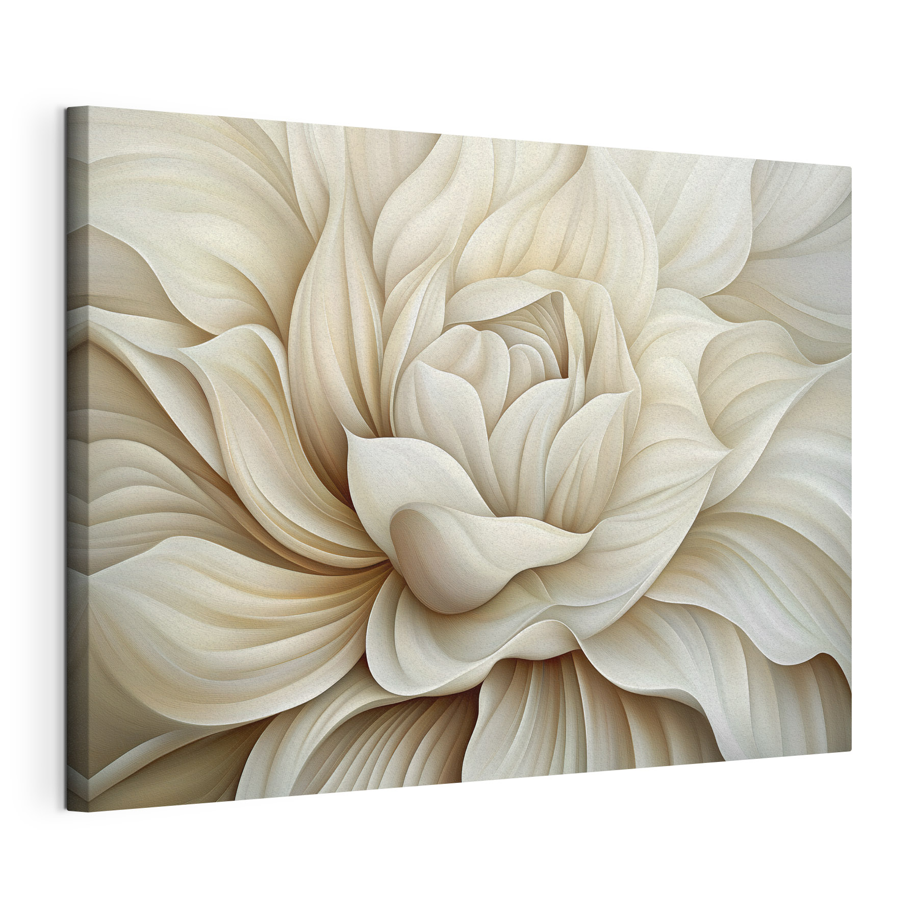 Elegant petals in soft hues Elegant petals in soft hues