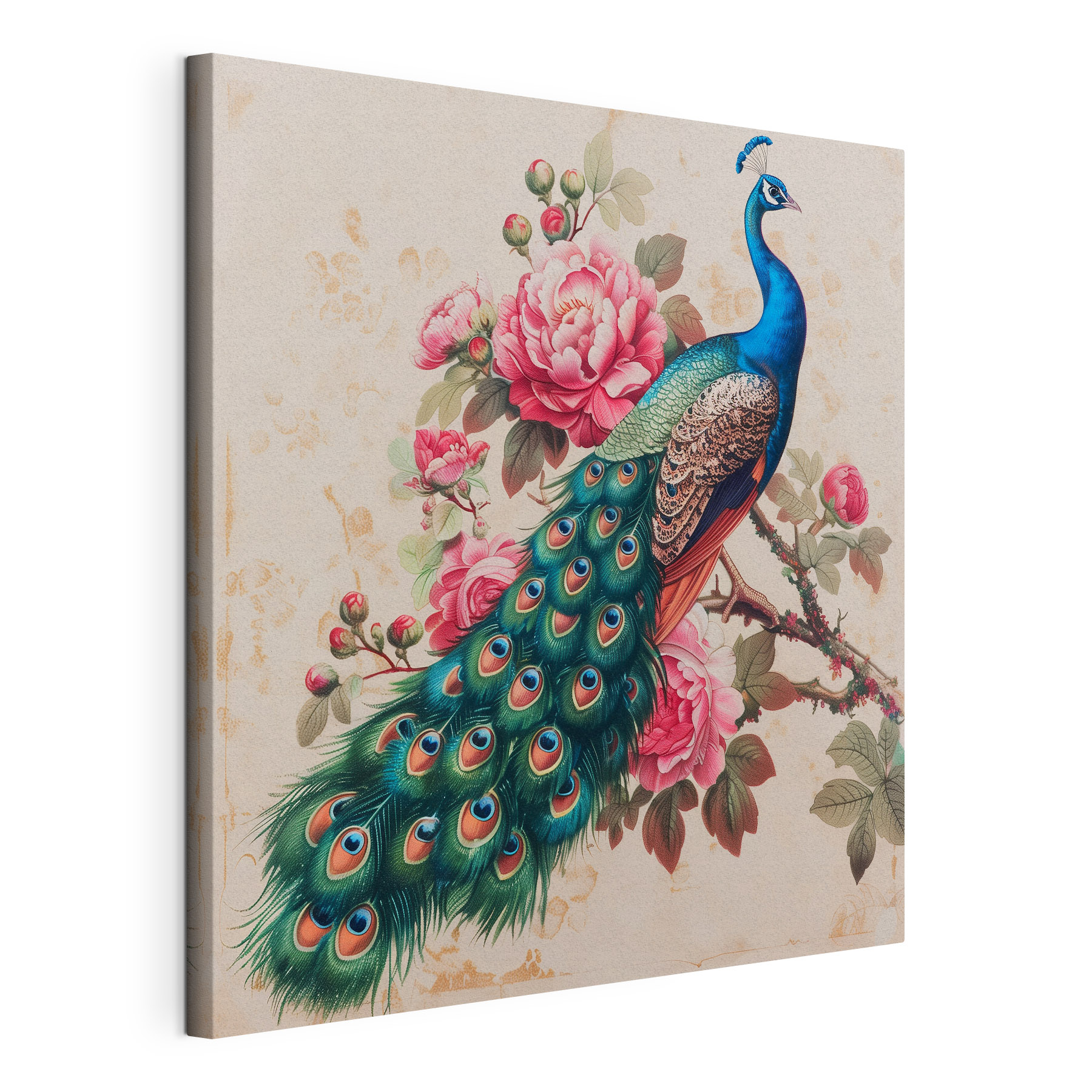 Peacock on a branch with flowers Peacock on a branch with flowers