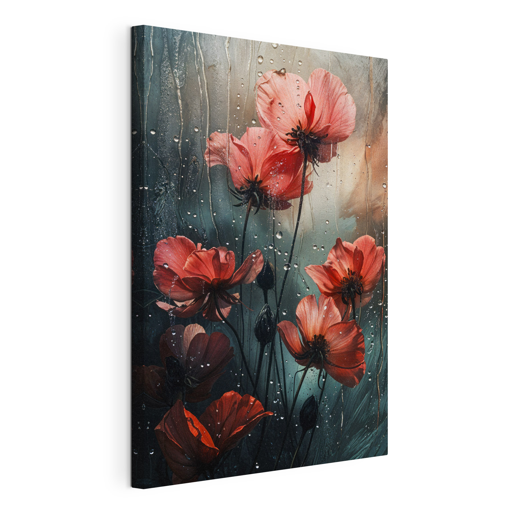 Raindrops on beautiful blooming flowers Raindrops on beautiful blooming flowers