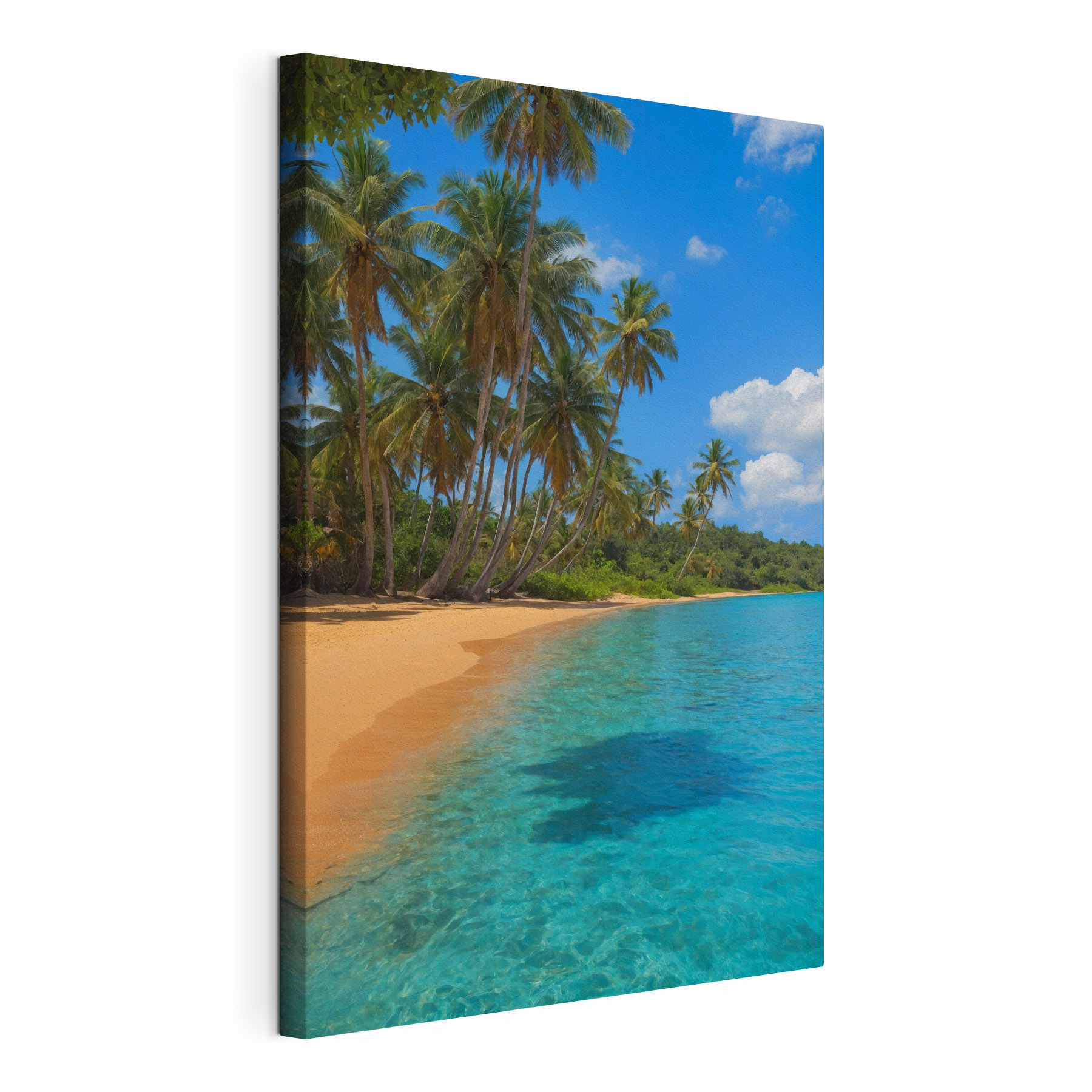 Beach with palm trees and blue water