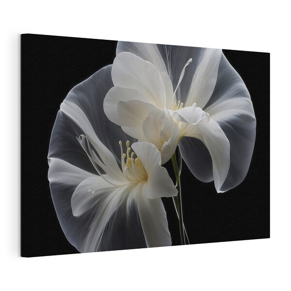 Cuadros Primer plano de una flor (SKU: s40549) Cuadros Cuadros Primer plano de una flor (SKU: s40549)