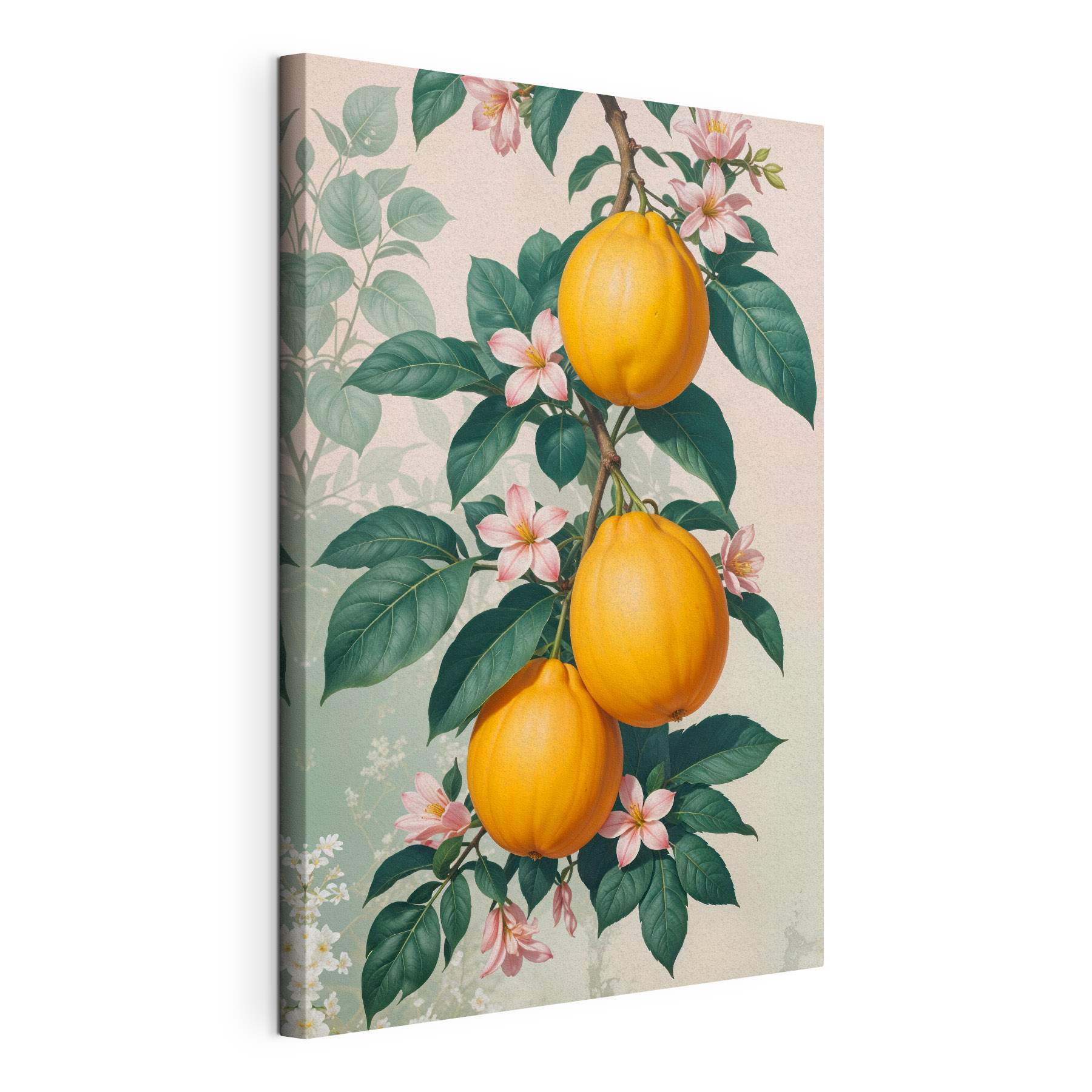 Group of fruit on a plant Group of fruit on a plant