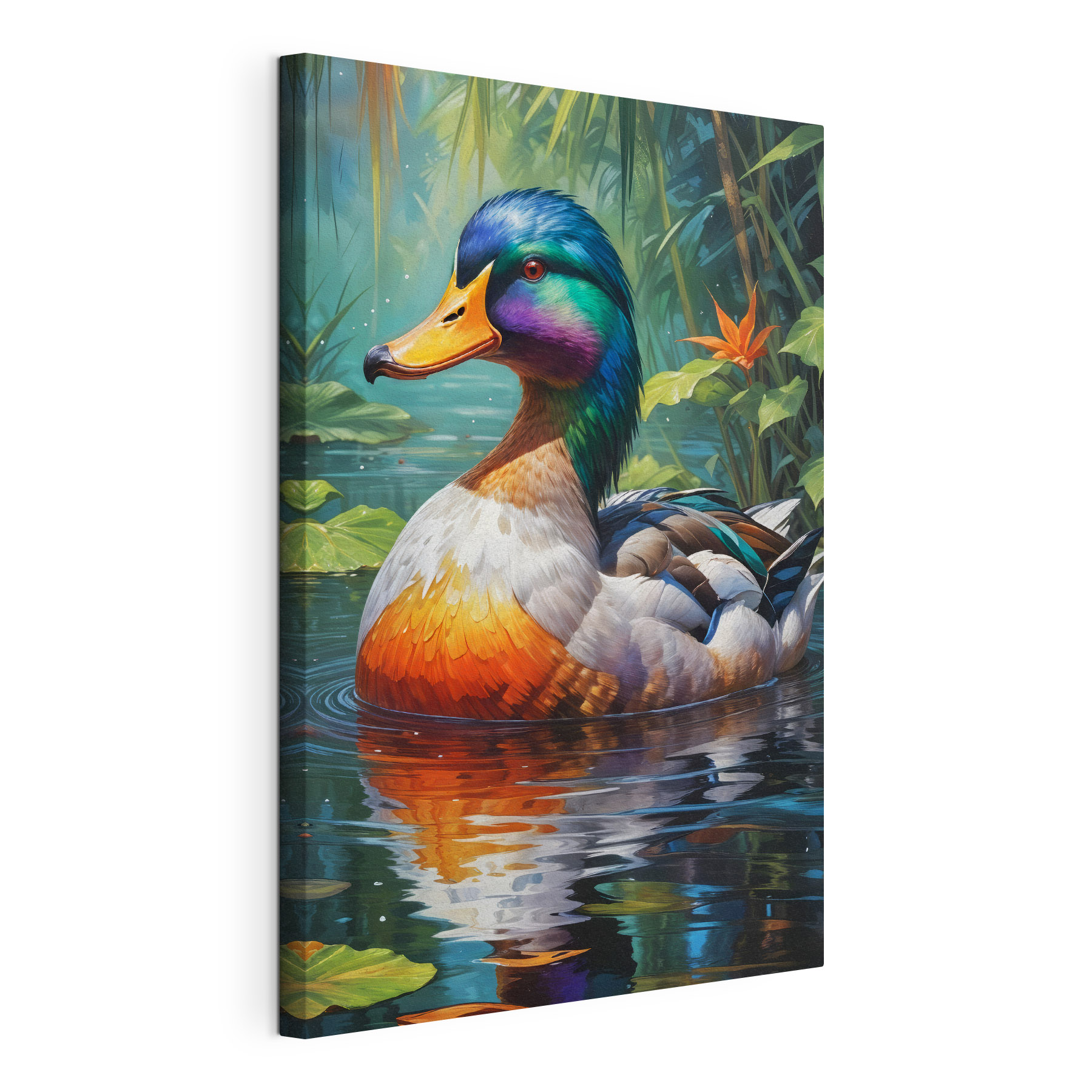 Colorful duck in water