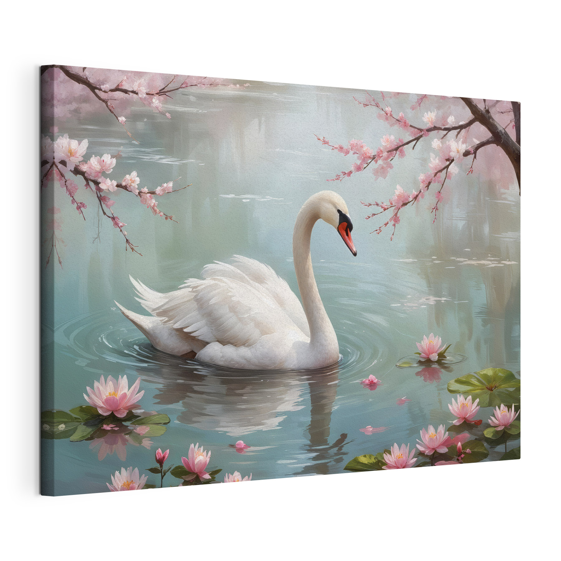 White swan in water with pink flowers White swan in water with pink flowers
