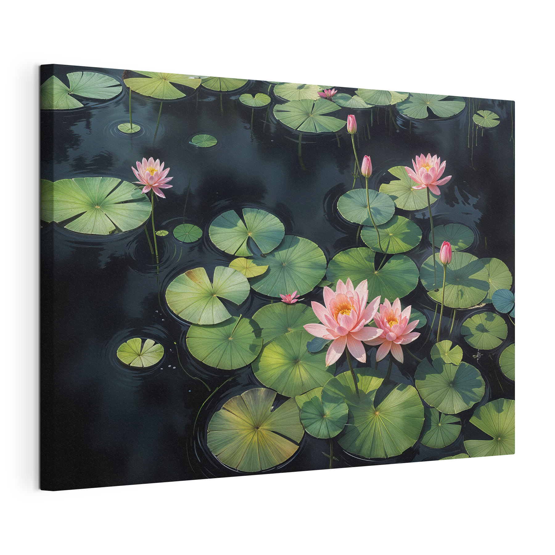 Group of pink flowers and green leaves in a pond