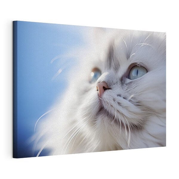 Cuadros Primer plano de un gato (SKU: s40729) Cuadros Cuadros Primer plano de un gato (SKU: s40729)