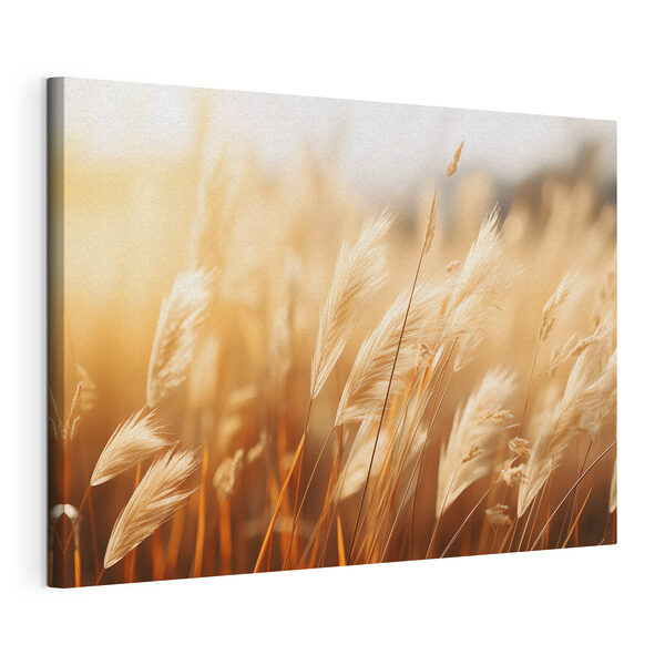 Cuadros Primer plano de un campo de hierba (SKU: s40731) Cuadros Cuadros Primer plano de un campo de hierba (SKU: s40731)