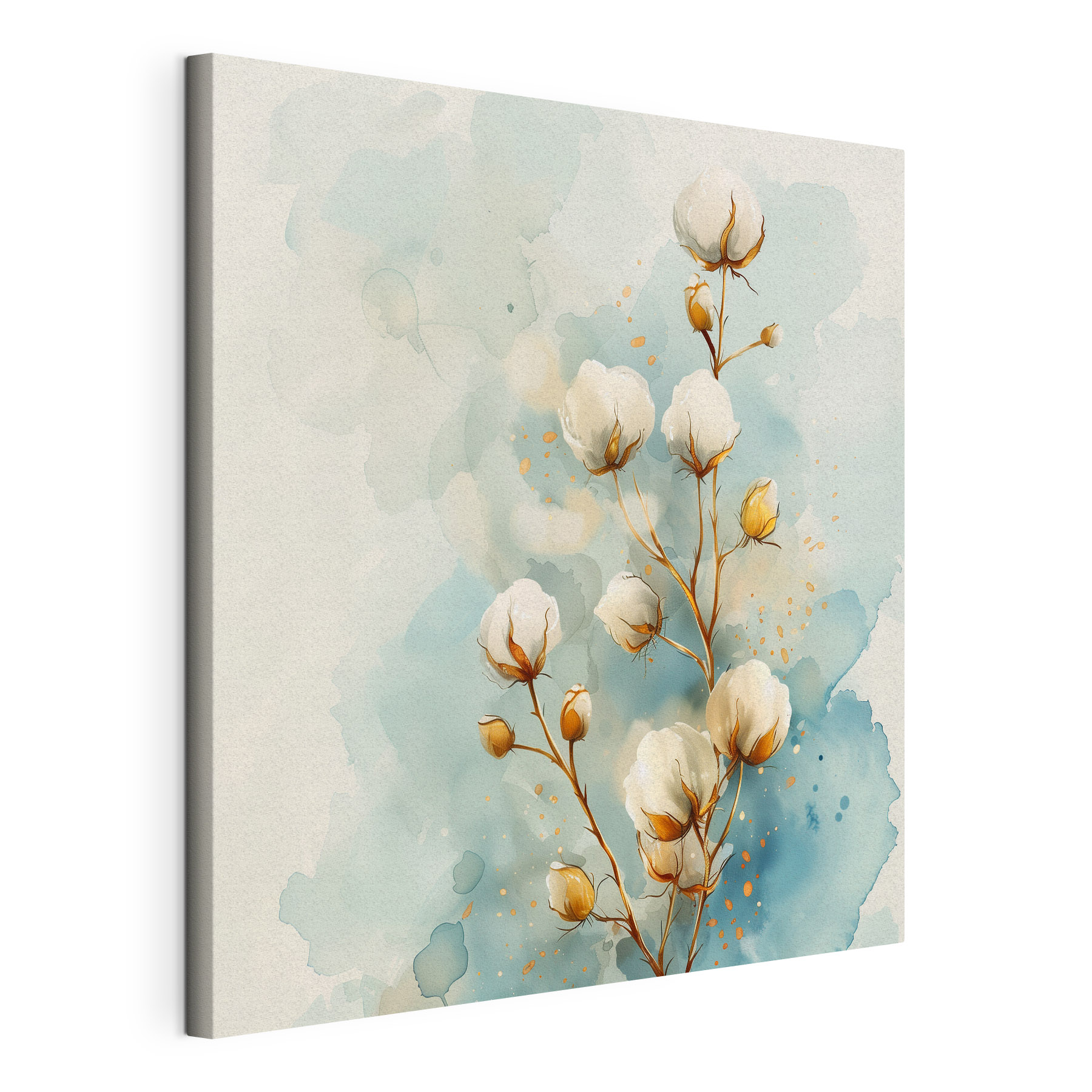 Watercolor of cotton flowers Watercolor of cotton flowers