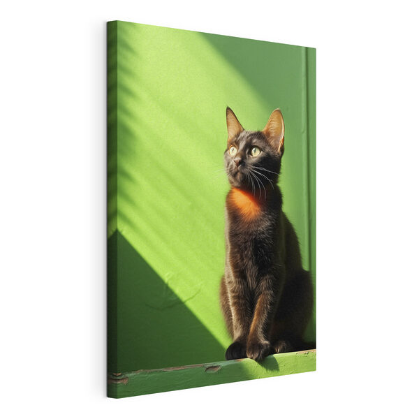 Gato sentado en una silla Cuadros Gato sentado en una silla