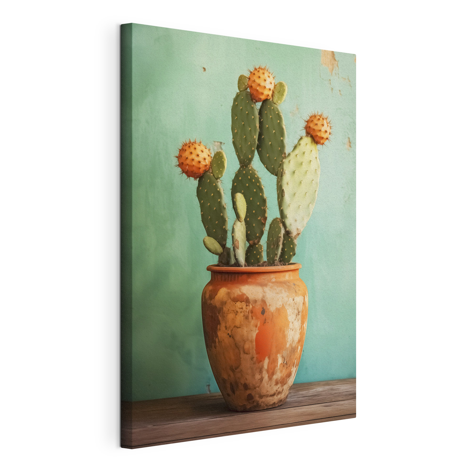 Cactus in a pot Cactus in a pot