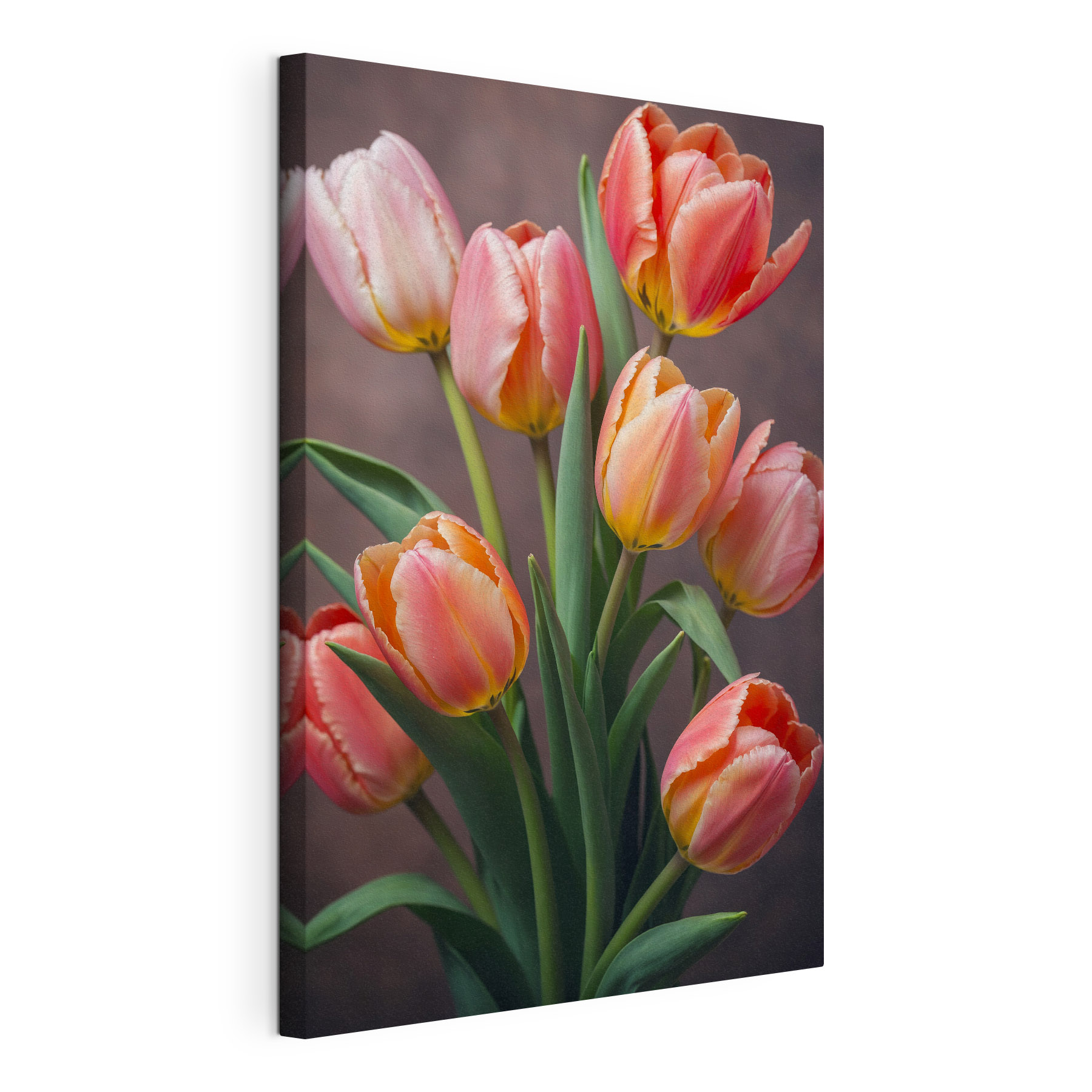 Group of pink and yellow tulips Group of pink and yellow tulips