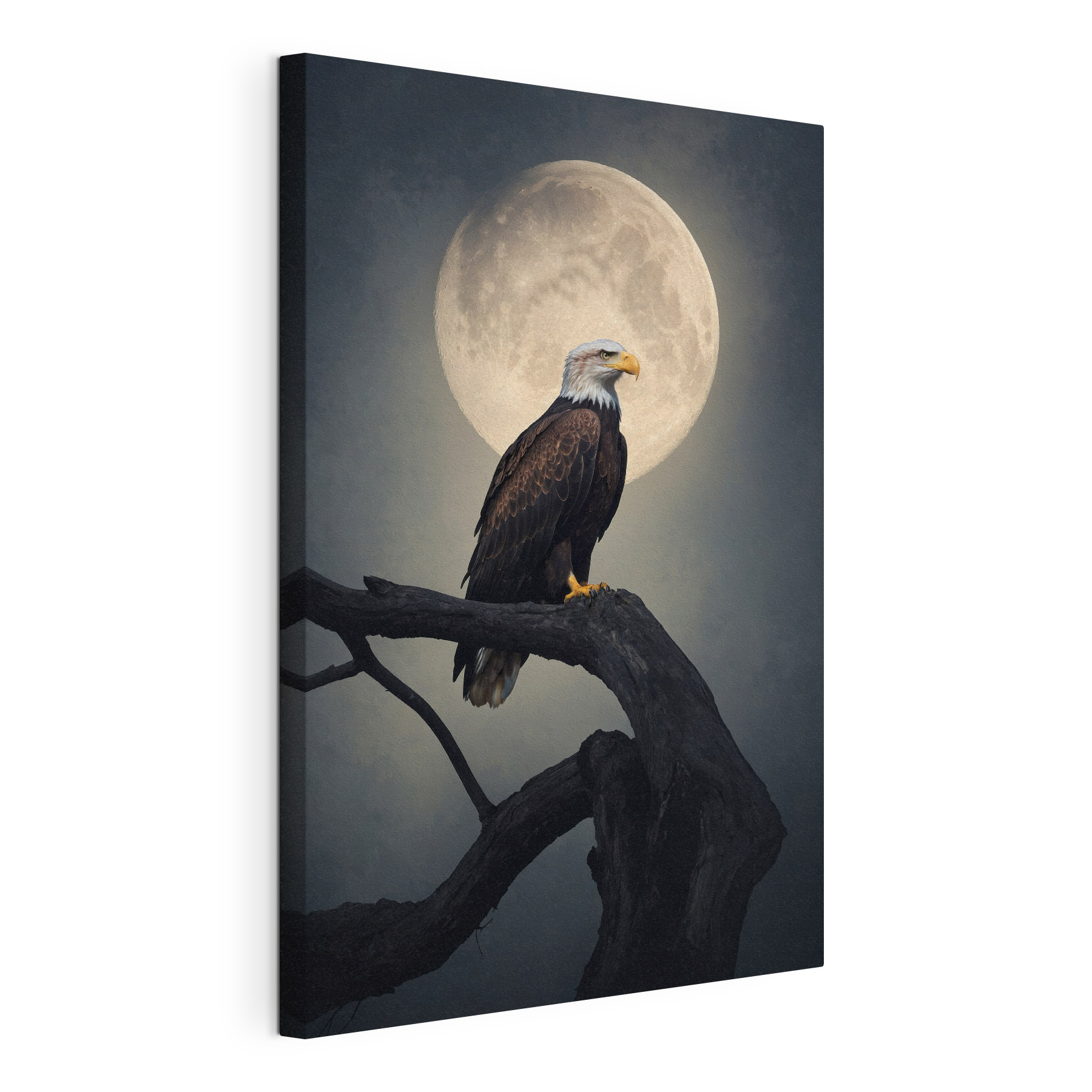 Bald eagle on a branch with a full moon in the background Bald eagle on a branch with a full moon in the background