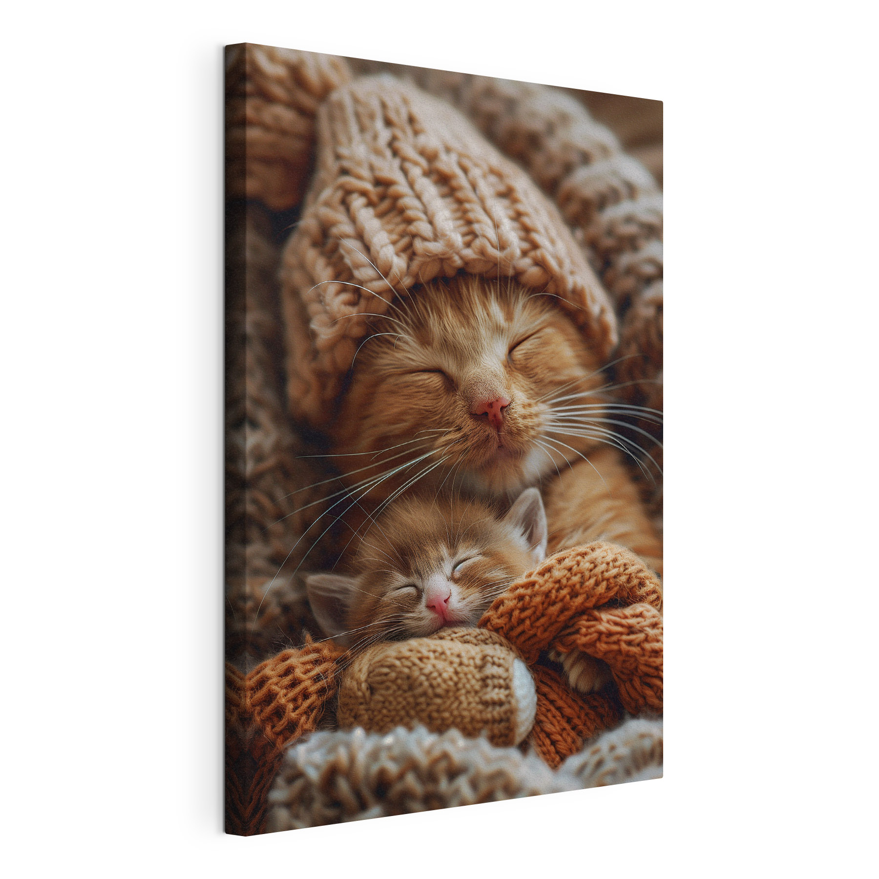 Cat and kitten in knitted hats Cat and kitten in knitted hats