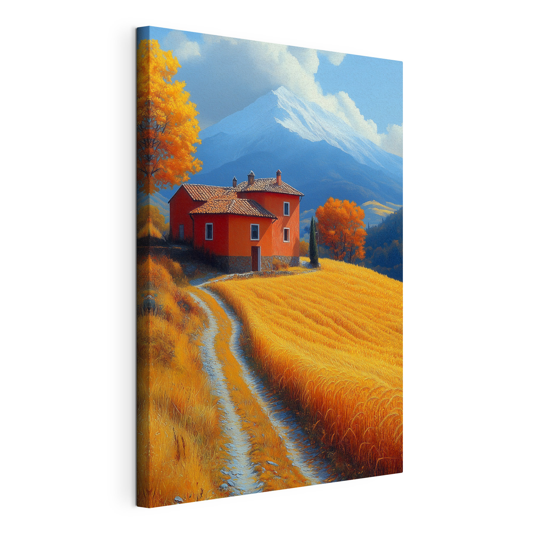 House in a field House in a field