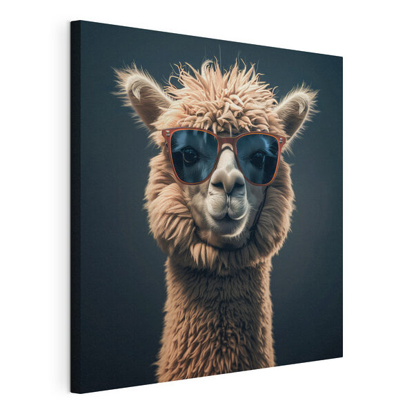 Cuadros Una llama con gafas de sol