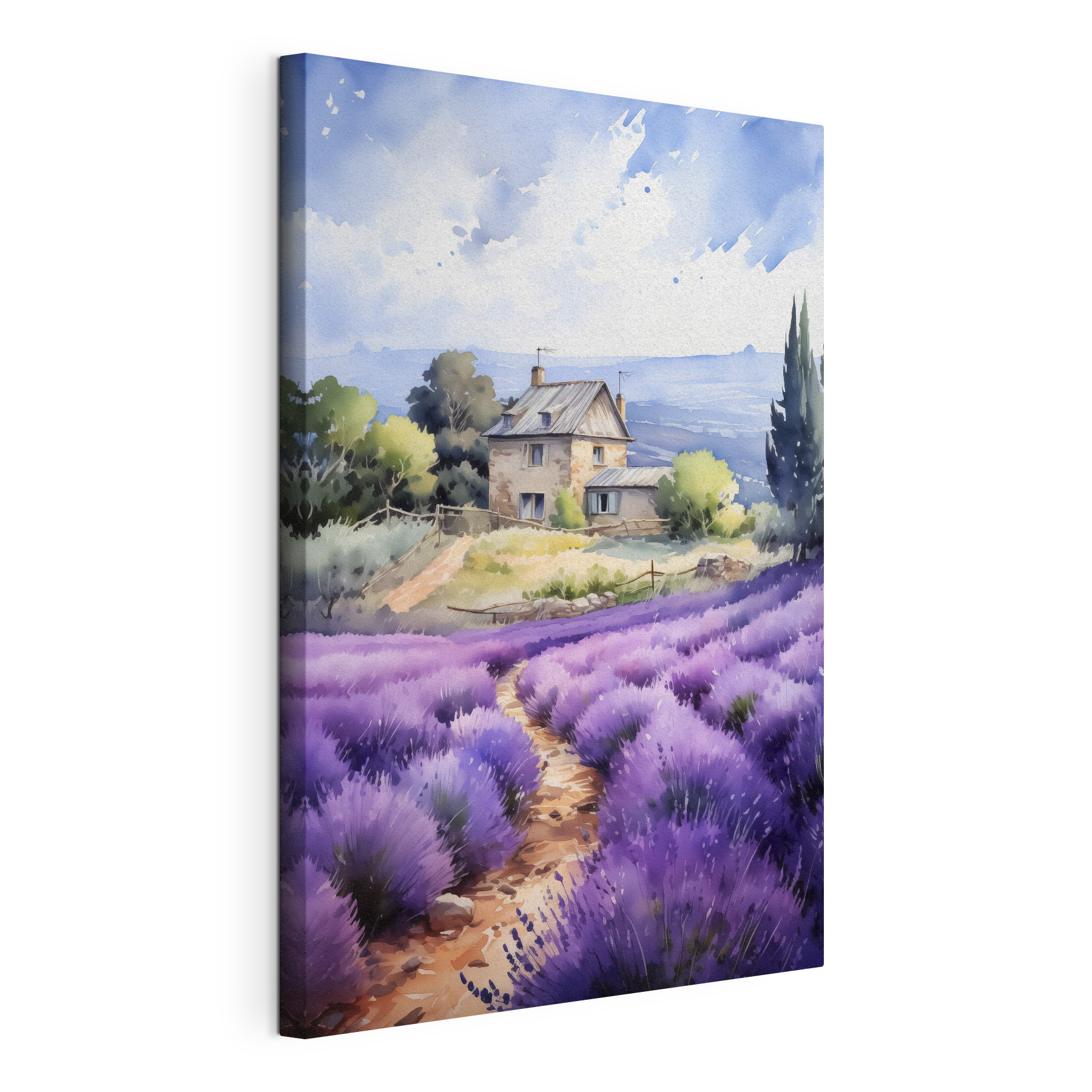 House in a field of lavender House in a field of lavender