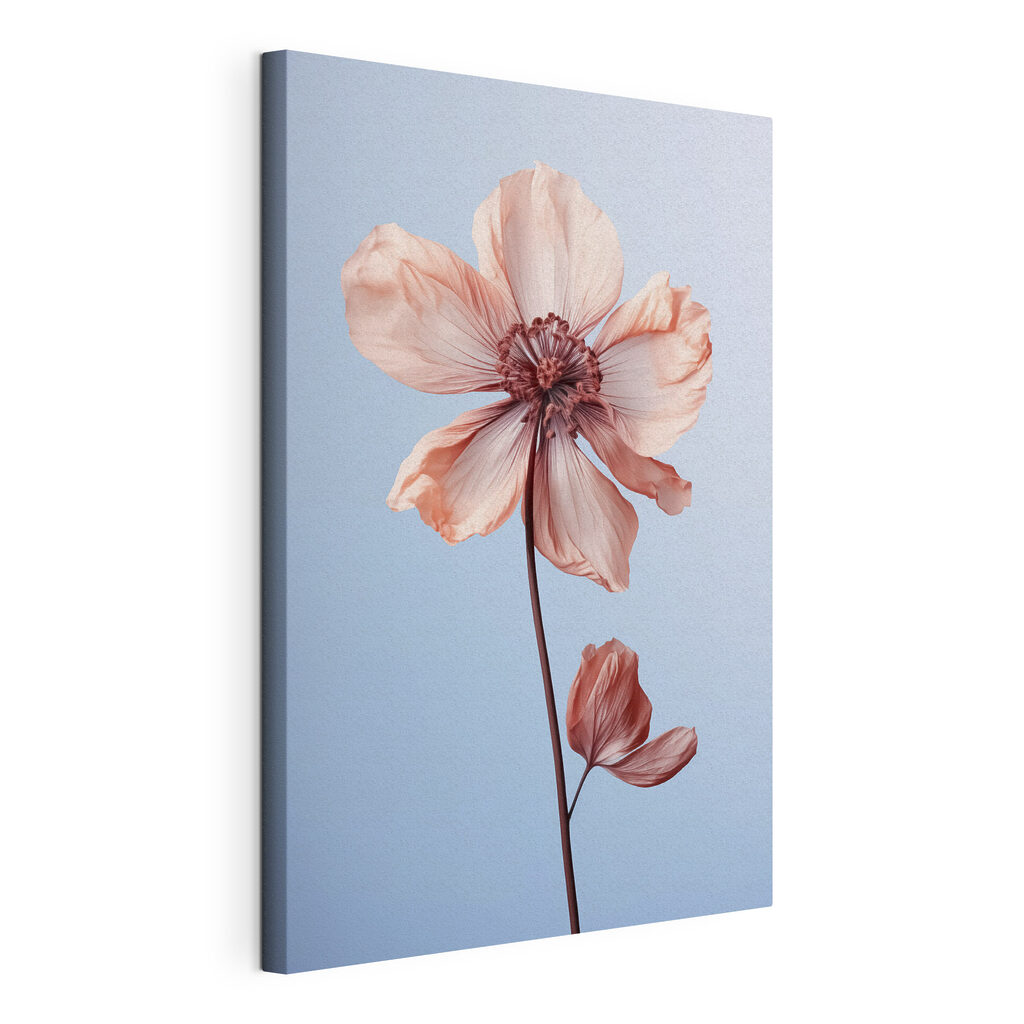 Delicate petals against a soft backdrop Delicate petals against a soft backdrop