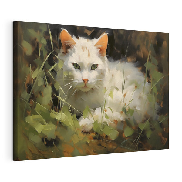 Un gato blanco tumbado en la hierba Cuadros Un gato blanco tumbado en la hierba