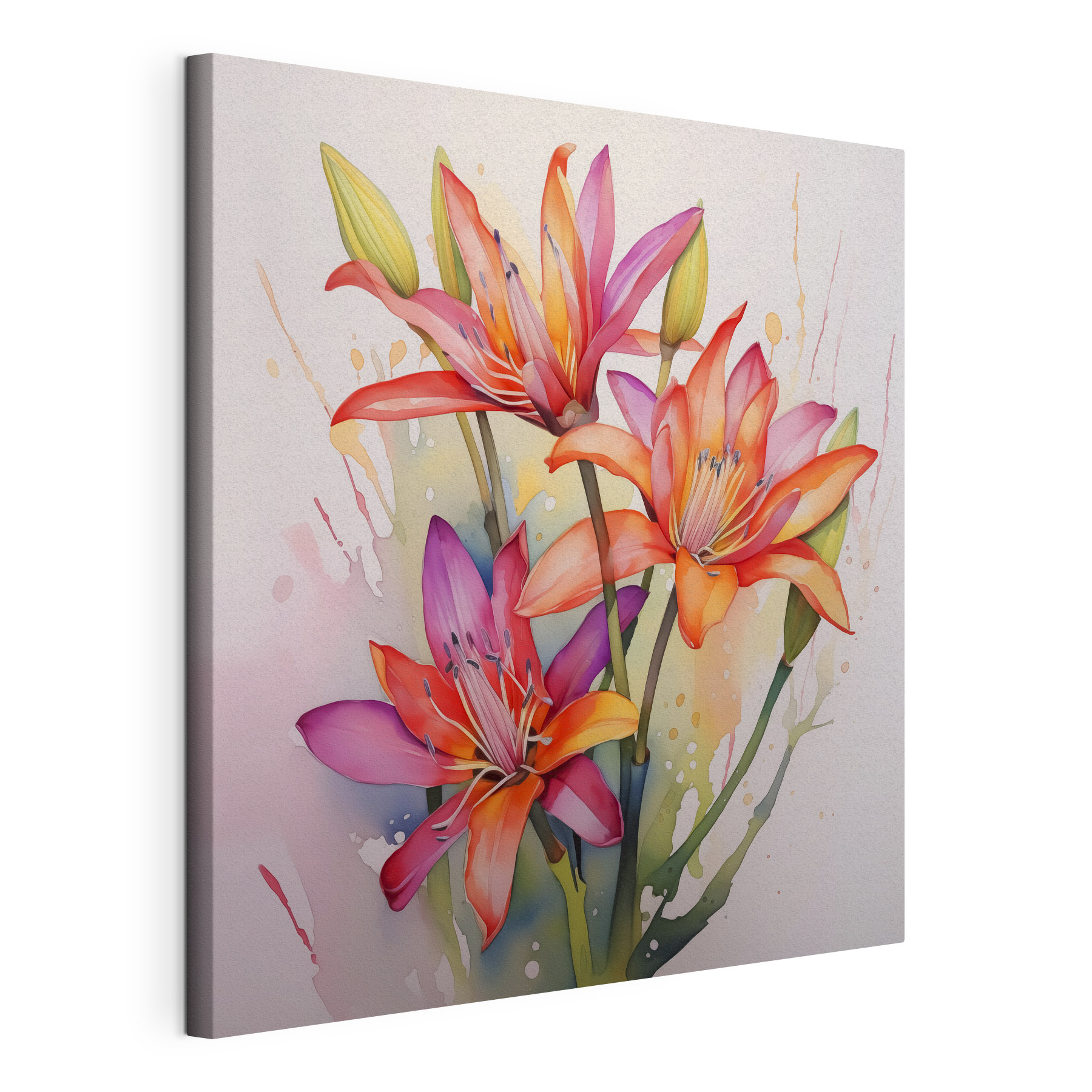 Painting of flowers on a white background Painting of flowers on a white background