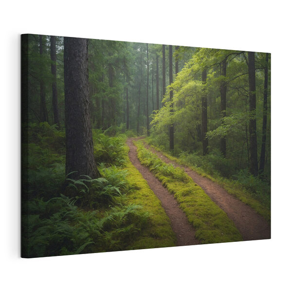 Cuadros Camino de tierra que atraviesa un bosque (SKU: s41052) Cuadros Cuadros Camino de tierra que atraviesa un bosque (SKU: s41052)