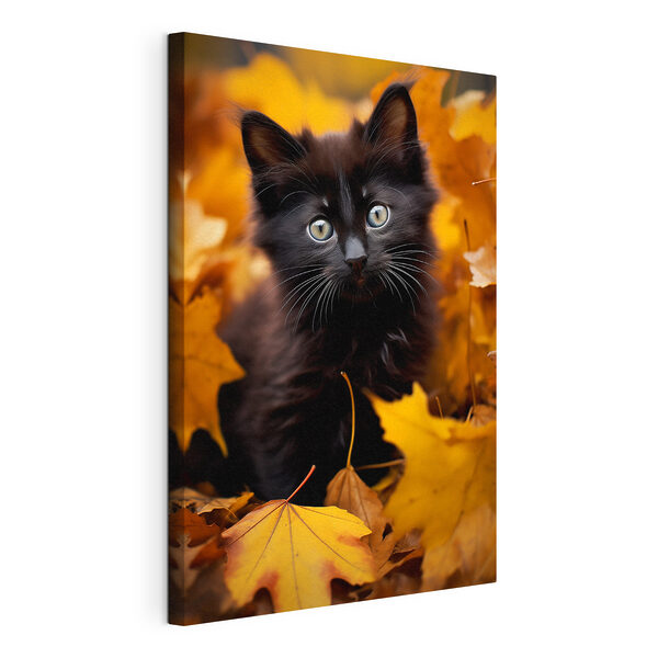 Gatito negro entre un montón de hojas Cuadros Gatito negro entre un montón de hojas