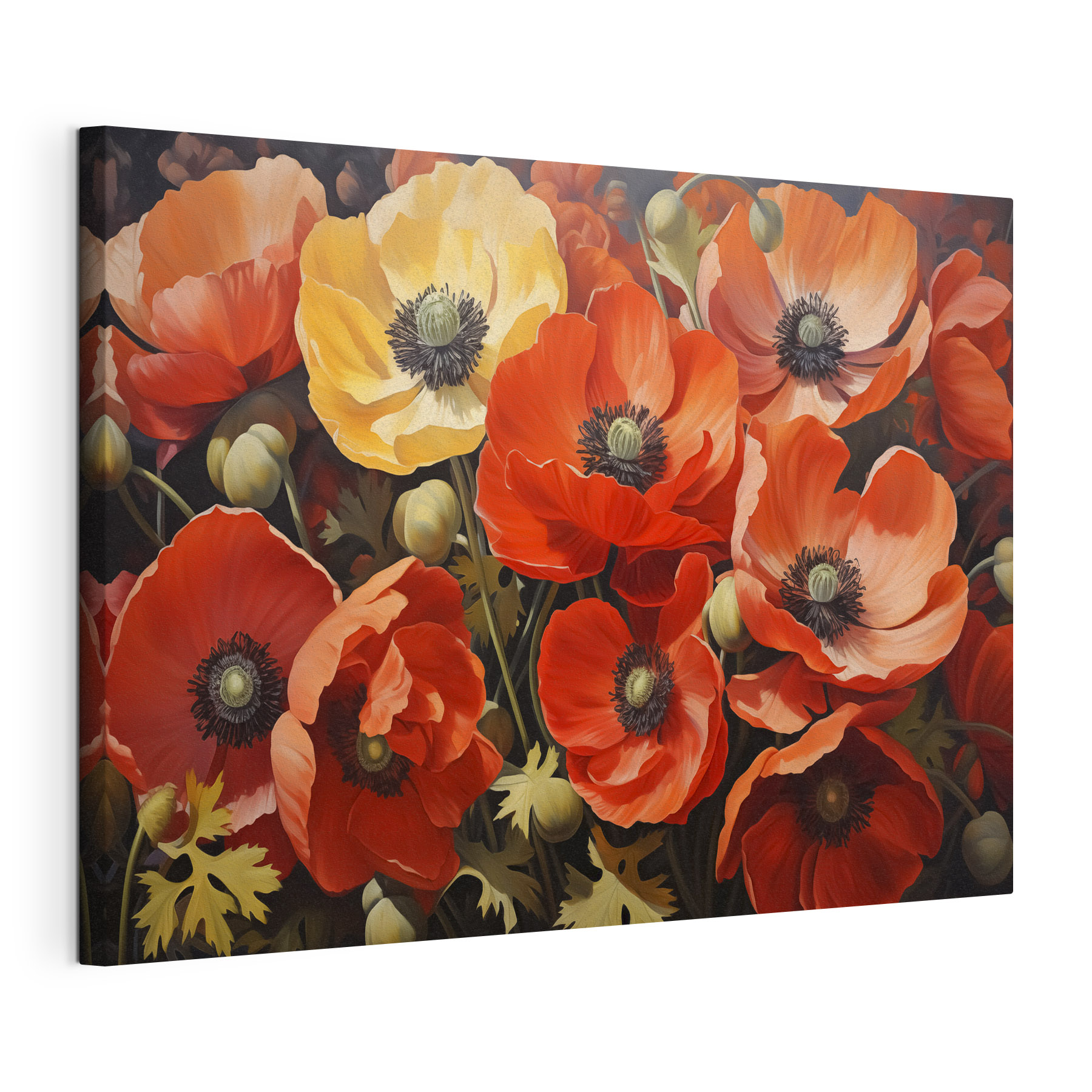 Vibrant poppies in full bloom Vibrant poppies in full bloom