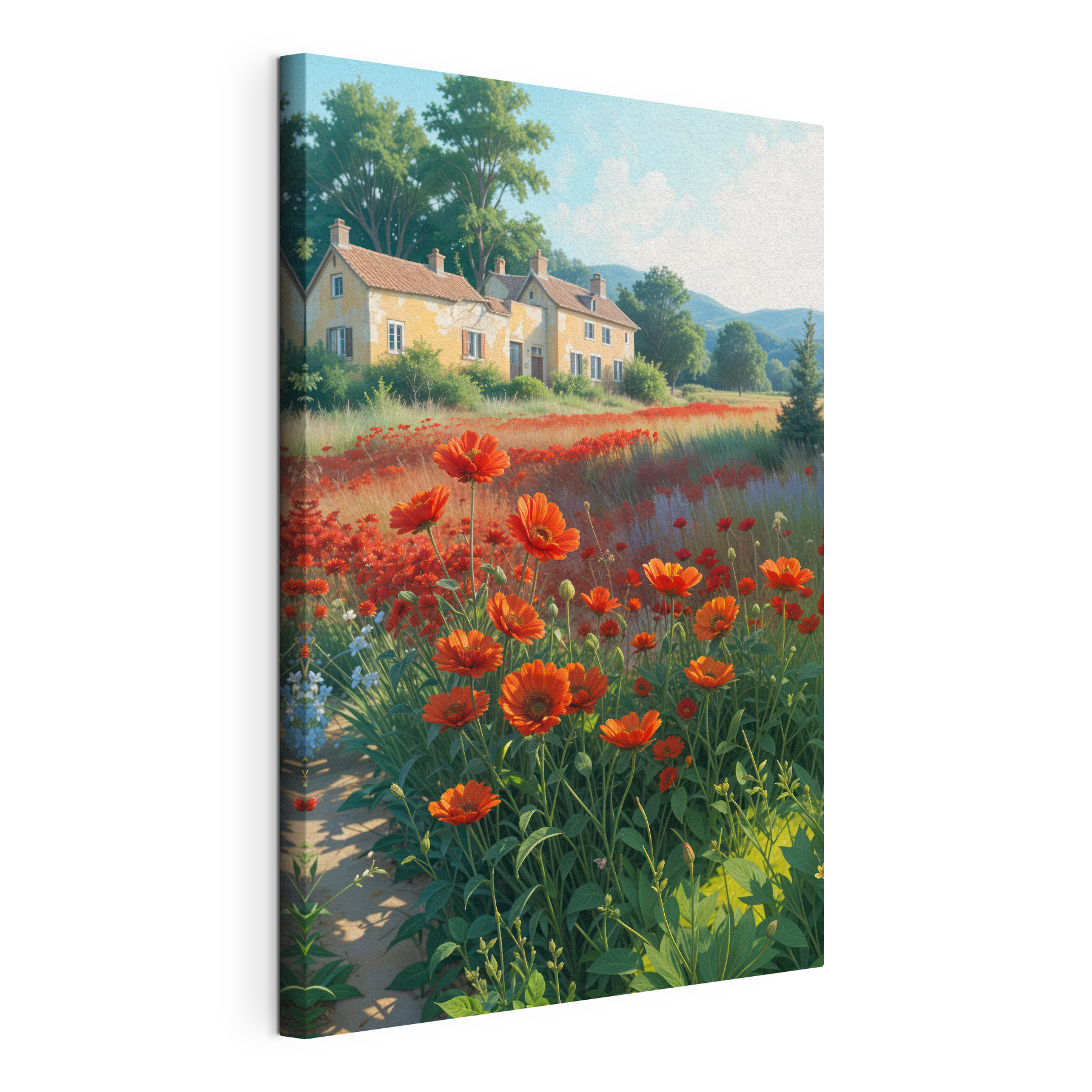 Field of flowers with a house in the background Field of flowers with a house in the background