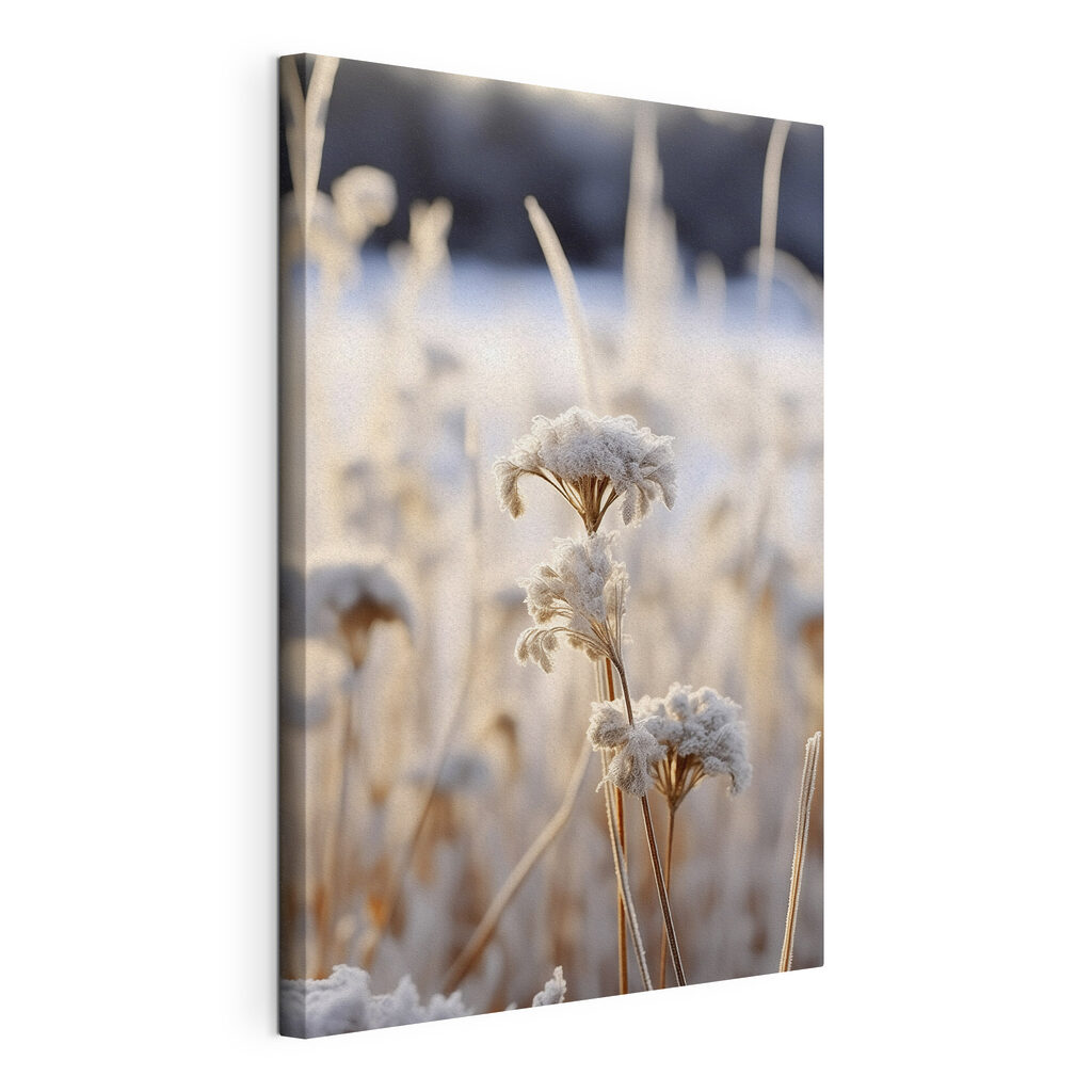 Frost-kissed flora in morning light