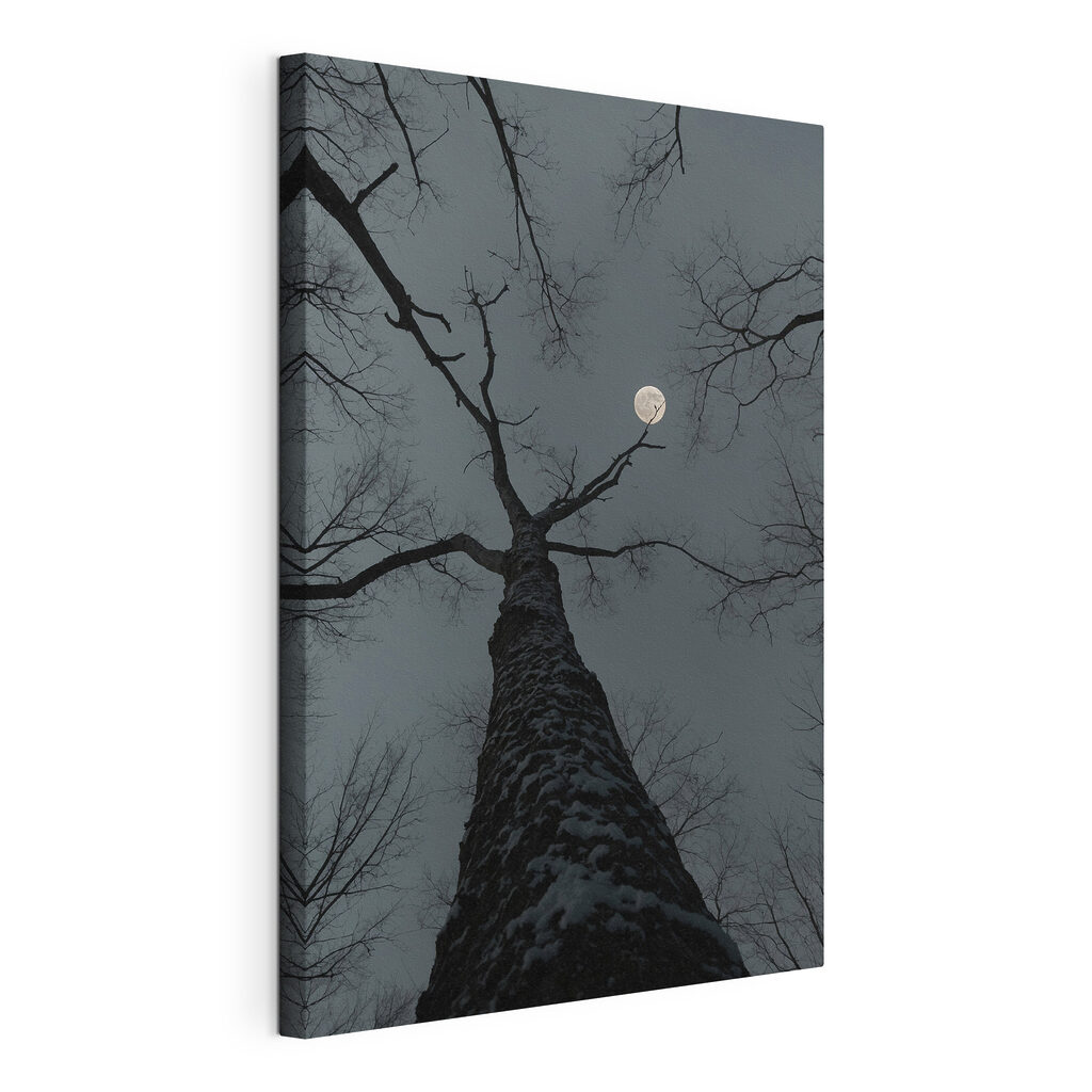 Tree with the moon in the background