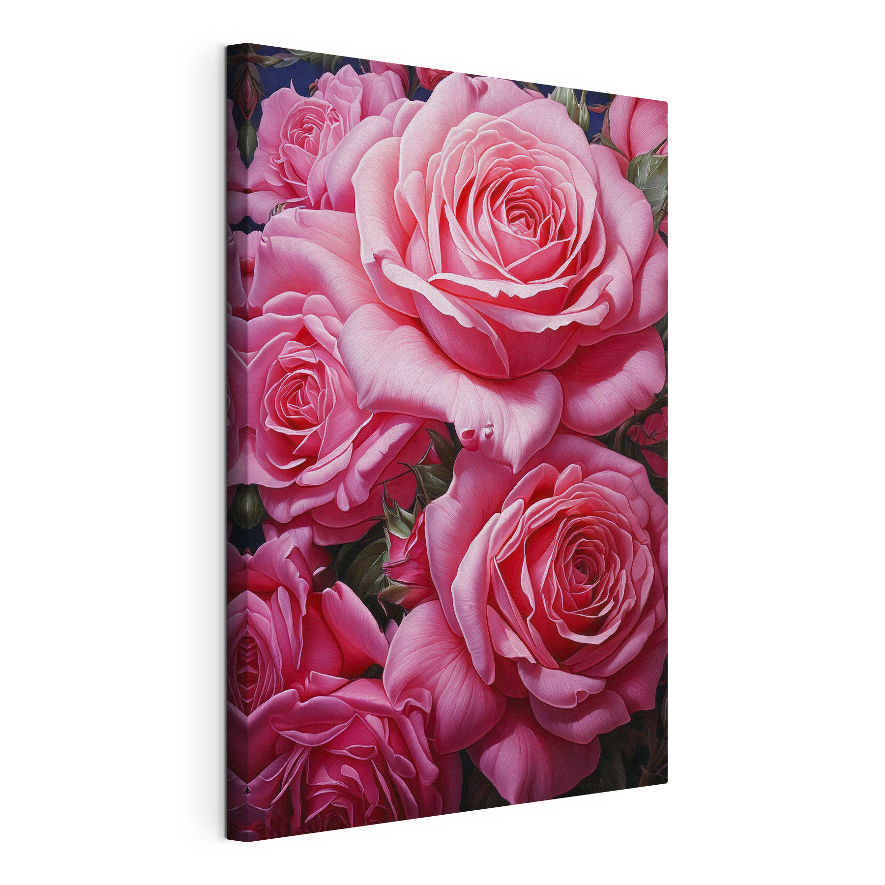 Group of pink roses