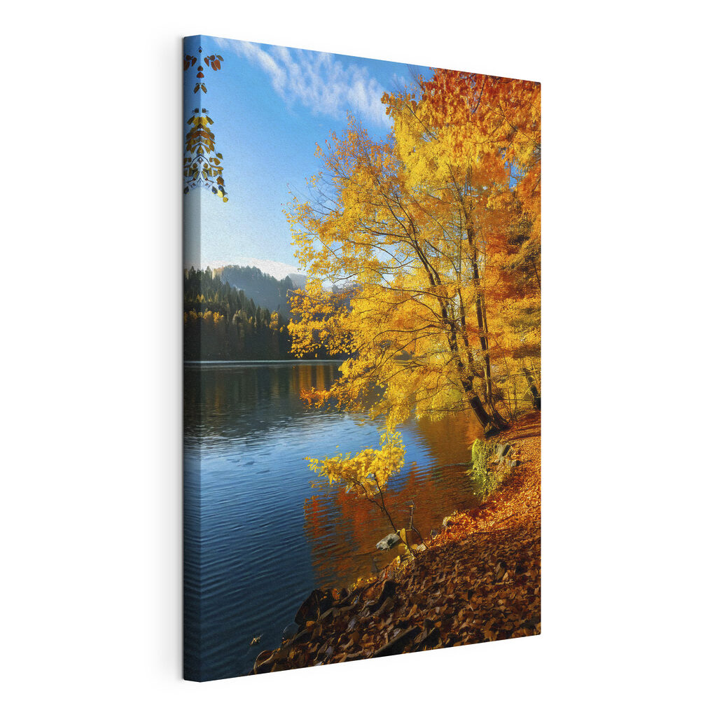 Lake with trees and leaves on the ground