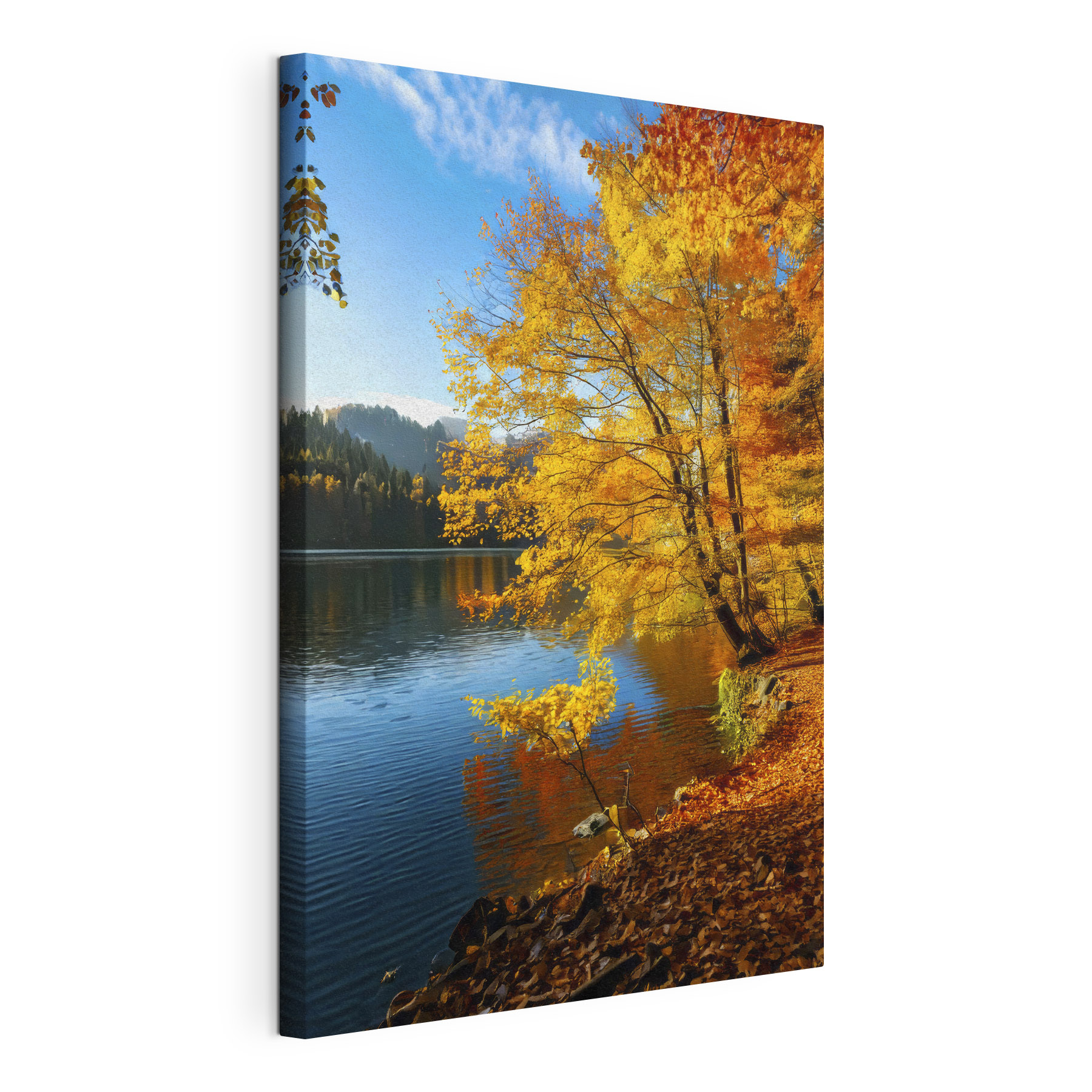 Lake with trees and leaves on the ground