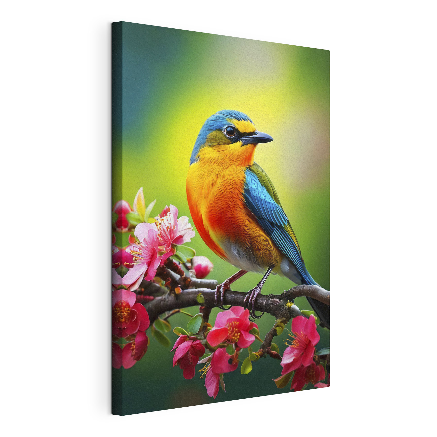 Colorful bird on a branch with pink flowers Colorful bird on a branch with pink flowers
