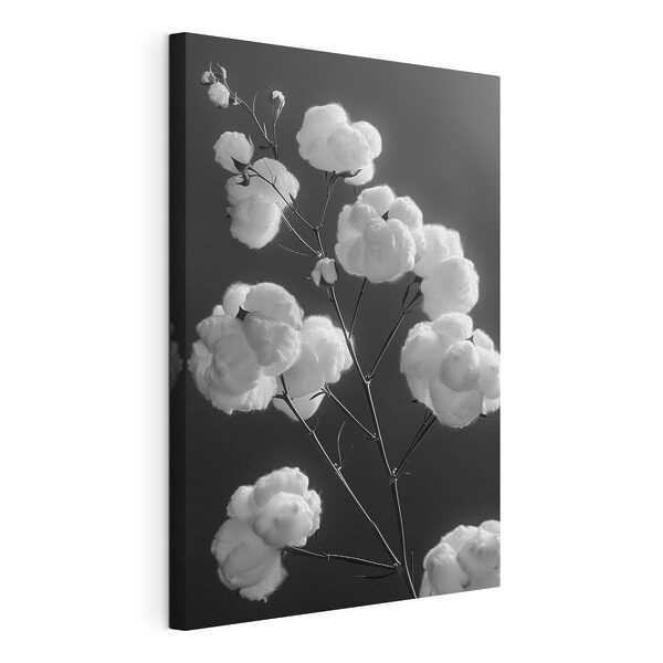 Cuadros Planta con bolas de algodón (SKU: s41429) Cuadros Cuadros Planta con bolas de algodón (SKU: s41429)