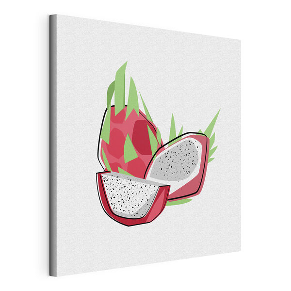 Cuadros Dibujo de una pitaya (SKU: s41465) Cuadros Cuadros Dibujo de una pitaya (SKU: s41465)