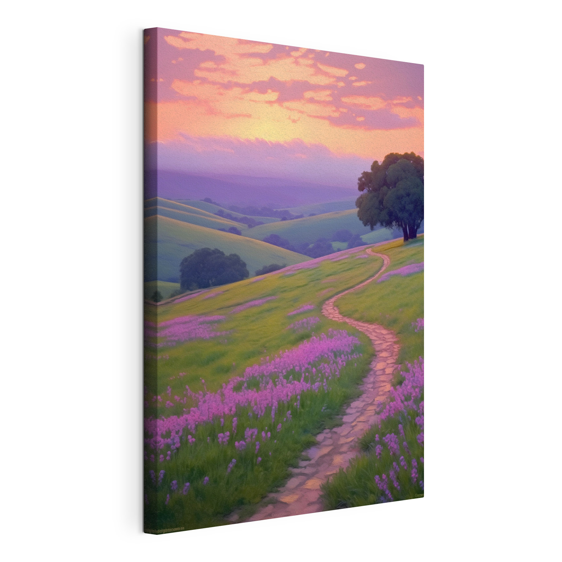 Path through a field of purple flowers Path through a field of purple flowers